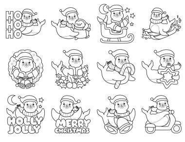 Şirin Seal ikonu. Komik bebek fok hayvan serisi illüstrasyonu. Yumuşak Fok Tasarımları Hayatı. Sayfalar dolusu şirin mühür. Mutlu Noellerin varyasyonunda mühür çizgisi