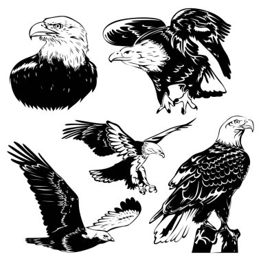 Güçlü kartal çiziminin silueti.