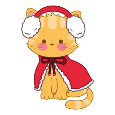 Günlük aktivitelerde komik kedi.