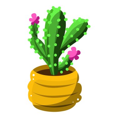 Kaktüs bitkileri kahverengi tencereye vektör koyarlar. Beyaz arkaplanda izole edilmiş sulu vektör illüstrasyonu