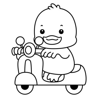 Şirin ördek ikonu. Komik bebek ördek hayvan serisi örnekleri. Yumuşak Ördek Tasarımları 'nın hayatı. Scooter süren ördeğin ana hatları.