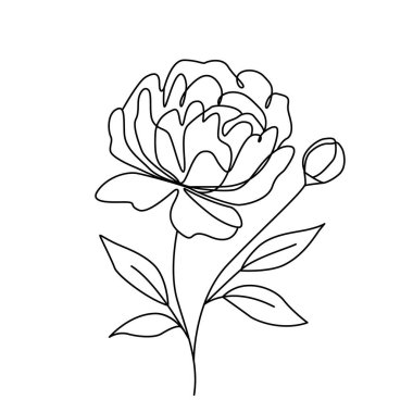 Devamlı çizim tarzında çiçek açan şakayık çiçekleri. Logo Peony çiçeği minimalist siyah çizgi tasarımı. Vektör illüstrasyonu