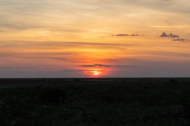 A beautiful sunset over the Liuwa Plain National Park, Zambia clipart