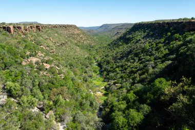 Doğu Burnu, Güney Afrika 'da uzak, derin bir bitki vadisinin güzel manzarası.