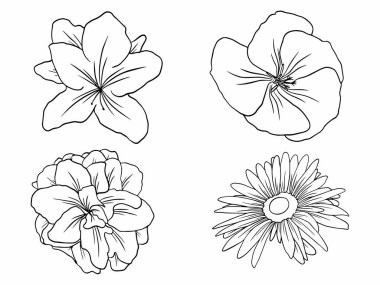 Dış Hatlar Tarzı ile Çiçek Hattı Sanat Arkaplanı. Çiçek Dekorasyonu, Çiçek Çerçevesi, Çiçek Köşesi Kenarı Kenarı ve Çiçek Buketi Çizimi için El Çizimi Vektörü