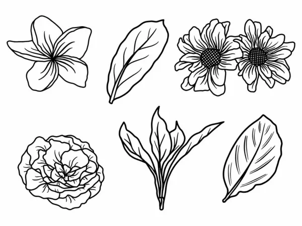 Flower Line Art Fundal Stil Contur Vector Flori Desenat Manual — Vector de stoc