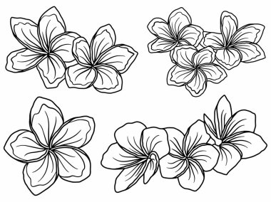 Dış Hatlar Tarzı ile Çiçek Hattı Sanat Arkaplanı. Çiçek Dekorasyonu, Çiçek Çerçevesi, Çiçek Köşesi Kenarı Kenarı ve Çiçek Buketi Çizimi için El Çizimi Vektörü