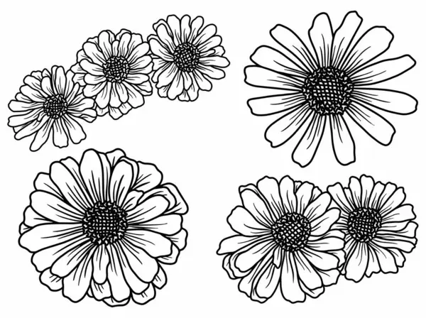 Flower Line Art Background Outline Style Hand Drawn Flower Vector — Stock Vector