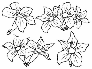 Dış Hatlar Tarzı ile Çiçek Hattı Sanat Arkaplanı. Çiçek Dekorasyonu, Çiçek Çerçevesi, Çiçek Köşesi Kenarı Kenarı ve Çiçek Buketi Çizimi için El Çizimi Vektörü