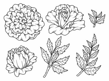 Dış Hatlar Tarzı ile Çiçek Hattı Sanat Arkaplanı. Çiçek Dekorasyonu, Çiçek Çerçevesi, Çiçek Köşesi Kenarı Kenarı ve Çiçek Buketi Çizimi için El Çizimi Vektörü