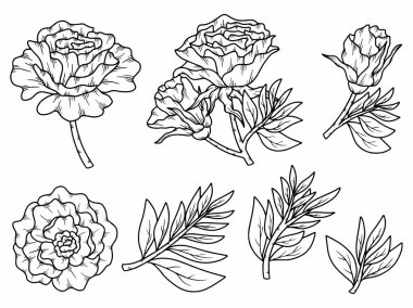 Dış Hatlar Tarzı ile Çiçek Hattı Sanat Arkaplanı. Çiçek Dekorasyonu, Çiçek Çerçevesi, Çiçek Köşesi Kenarı Kenarı ve Çiçek Buketi Çizimi için El Çizimi Vektörü