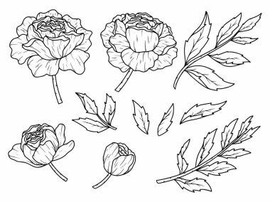 Dış Hatlar Tarzı ile Çiçek Hattı Sanat Arkaplanı. Çiçek Dekorasyonu, Çiçek Çerçevesi, Çiçek Köşesi Kenarı Kenarı ve Çiçek Buketi Çizimi için El Çizimi Vektörü