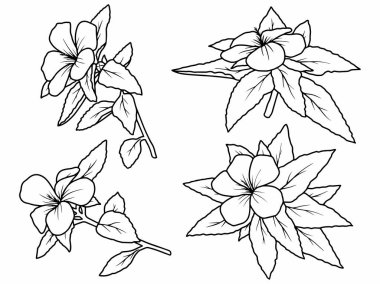 Dış Hatlar Tarzı ile Çiçek Hattı Sanat Arkaplanı. Çiçek Dekorasyonu, Çiçek Çerçevesi, Çiçek Köşesi Kenarı Kenarı ve Çiçek Buketi Çizimi için El Çizimi Vektörü