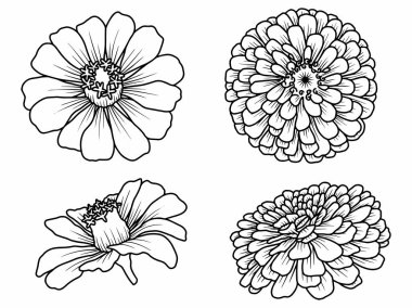 Dış Hatlar Tarzı ile Çiçek Hattı Sanat Arkaplanı. Çiçek Dekorasyonu, Çiçek Çerçevesi, Çiçek Köşesi Kenarı Kenarı ve Çiçek Buketi Çizimi için El Çizimi Vektörü