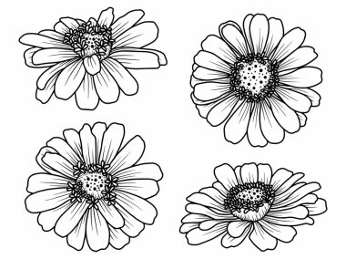 Dış Hatlar Tarzı ile Çiçek Hattı Sanat Arkaplanı. Çiçek Dekorasyonu, Çiçek Çerçevesi, Çiçek Köşesi Kenarı Kenarı ve Çiçek Buketi Çizimi için El Çizimi Vektörü