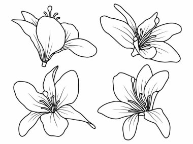 Dış Hatlar Tarzı ile Çiçek Hattı Sanat Arkaplanı. Çiçek Dekorasyonu, Çiçek Çerçevesi, Çiçek Köşesi Kenarı Kenarı ve Çiçek Buketi Çizimi için El Çizimi Vektörü