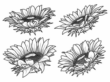 Dış Hatlar Tarzı ile Çiçek Hattı Sanat Arkaplanı. Çiçek Dekorasyonu, Çiçek Çerçevesi, Çiçek Köşesi Kenarı Kenarı ve Çiçek Buketi Çizimi için El Çizimi Vektörü