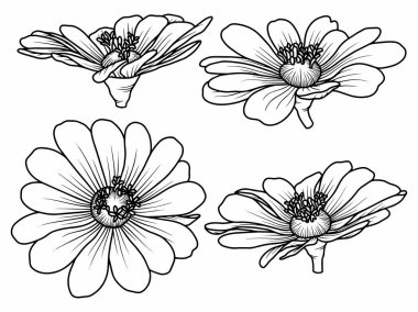 Dış Hatlar Tarzı ile Çiçek Hattı Sanat Arkaplanı. Çiçek Dekorasyonu, Çiçek Çerçevesi, Çiçek Köşesi Kenarı Kenarı ve Çiçek Buketi Çizimi için El Çizimi Vektörü