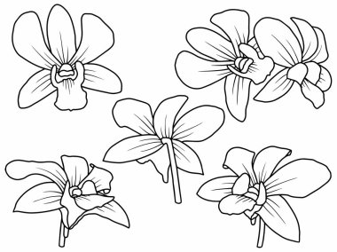 Dış Hatlar Tarzı ile Çiçek Hattı Sanat Arkaplanı. Çiçek Dekorasyonu, Çiçek Çerçevesi, Çiçek Köşesi Kenarı Kenarı ve Çiçek Buketi Çizimi için El Çizimi Vektörü