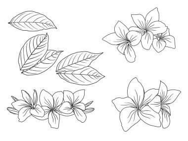 Dış Hatlar Tarzı ile Çiçek Hattı Sanat Arkaplanı. Çiçek Dekorasyonu, Çiçek Çerçevesi, Çiçek Köşesi Kenarı Kenarı ve Çiçek Buketi Çizimi için El Çizimi Vektörü