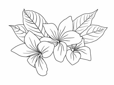 Dış Hatlar Tarzı ile Çiçek Hattı Sanat Arkaplanı. Çiçek Dekorasyonu, Çiçek Çerçevesi, Çiçek Köşesi Kenarı Kenarı ve Çiçek Buketi Çizimi için El Çizimi Vektörü