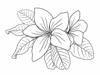 Dış Hatlar Tarzı ile Çiçek Hattı Sanat Arkaplanı. Çiçek Dekorasyonu, Çiçek Çerçevesi, Çiçek Köşesi Kenarı Kenarı ve Çiçek Buketi Çizimi için El Çizimi Vektörü