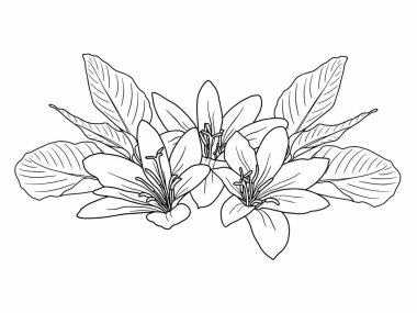 Dış Hatlar Tarzı ile Çiçek Hattı Sanat Arkaplanı. Çiçek Dekorasyonu, Çiçek Çerçevesi, Çiçek Köşesi Kenarı Kenarı ve Çiçek Buketi Çizimi için El Çizimi Vektörü