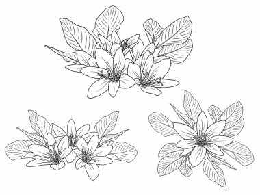 Dış Hatlar Tarzı ile Çiçek Hattı Sanat Arkaplanı. Çiçek Dekorasyonu, Çiçek Çerçevesi, Çiçek Köşesi Kenarı Kenarı ve Çiçek Buketi Çizimi için El Çizimi Vektörü