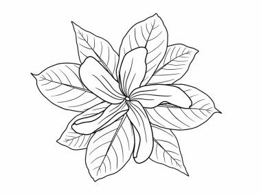 Dış Hatlar Tarzı ile Çiçek Hattı Sanat Arkaplanı. Çiçek Dekorasyonu, Çiçek Çerçevesi, Çiçek Köşesi Kenarı Kenarı ve Çiçek Buketi Çizimi için El Çizimi Vektörü