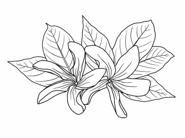 Dış Hatlar Tarzı ile Çiçek Hattı Sanat Arkaplanı. Çiçek Dekorasyonu, Çiçek Çerçevesi, Çiçek Köşesi Kenarı Kenarı ve Çiçek Buketi Çizimi için El Çizimi Vektörü