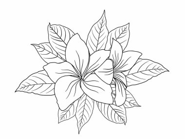 Dış Hatlar Tarzı ile Çiçek Hattı Sanat Arkaplanı. Çiçek Dekorasyonu, Çiçek Çerçevesi, Çiçek Köşesi Kenarı Kenarı ve Çiçek Buketi Çizimi için El Çizimi Vektörü