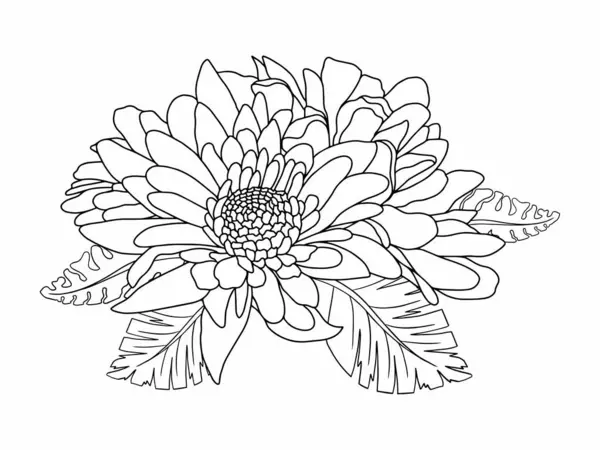 Dış Hatlar Tarzı ile Çiçek Hattı Sanat Arkaplanı. Çiçek Dekorasyonu, Çiçek Çerçevesi, Çiçek Köşesi Kenarı Kenarı ve Çiçek Buketi Çizimi için El Çizimi Vektörü