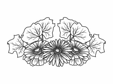 Güzel çiçeğin çizimi, el çizimi sanat çiçekleri.
