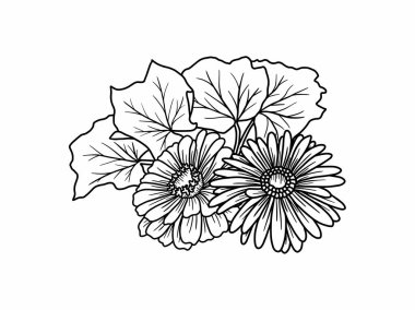 Güzel çiçeğin çizimi, el çizimi sanat çiçekleri.