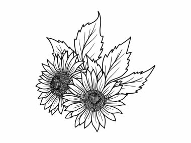 Çiçek bitkisel soyut çizgiler, el çizimi sanat çiçekleri, vektör çiçek yaprağı ve illüstrasyon