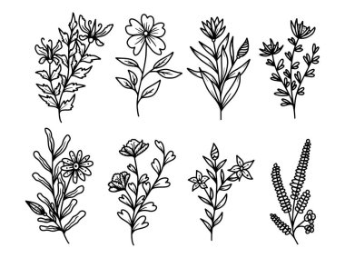 Çiçek bitkisel soyut çizgiler, el çizimi sanat çiçekleri, vektör çiçek yaprağı ve illüstrasyon