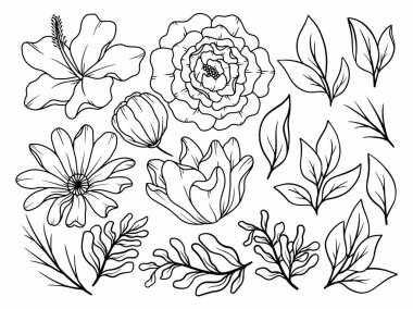 Çiçek bitkisel soyut çizgiler, el çizimi sanat çiçekleri, vektör çiçek yaprağı ve illüstrasyon