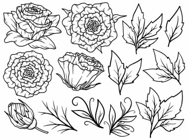 Çiçek bitkisel soyut çizgiler, el çizimi sanat çiçekleri, vektör çiçek yaprağı ve illüstrasyon