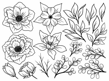 Çiçek bitkisel soyut çizgiler, el çizimi sanat çiçekleri, vektör çiçek yaprağı ve illüstrasyon