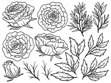 Çiçek bitkisel soyut çizgiler, el çizimi sanat çiçekleri, vektör çiçek yaprağı ve illüstrasyon