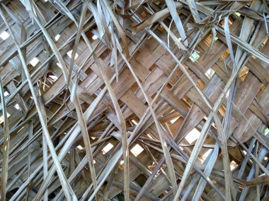 Örülmüş hindistan cevizi yaprakları. Avuç içi yaprağı. Dekorasyon için Arkaplan ya da Yaprak Arkaplanı 'nı bırakır. Güzel ve Egzotik Yaprak. Bitki Arkaplanı ve Ağaç Arkaplanı.