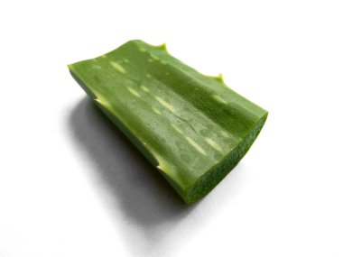 Aloe vera bitkisi beyaz arka planda izole edilmiş. Aloe Vera beyaz arka planda izole edilmiş taze yapraklar. Aloe yaprağı ya da aloe ağacı. Bitki Arkaplanı ve Ağaç Arkaplanı. Bahçedeki Bitkiler