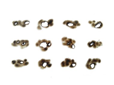 Beyaz kağıttaki ateş delikleri. Beyaz arkaplanda izole edilmiş bir kağıt parçasında yanmış deliklerin toplanması