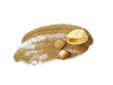 Deniz kabukları ve kumsal. Kum yığınındaki deniz kabukları beyaz arka planda izole edilmiş. Beyaz bir zemin üzerinde egzotik deniz kabukları bileşimi