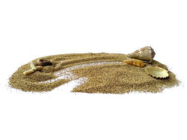 Deniz kabukları ve kumsal. Kum yığınındaki deniz kabukları beyaz arka planda izole edilmiş. Beyaz bir zemin üzerinde egzotik deniz kabukları bileşimi