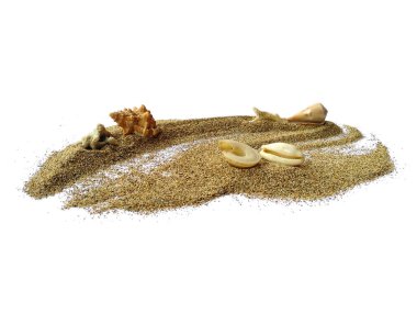 Deniz kabukları ve kumsal. Kum yığınındaki deniz kabukları beyaz arka planda izole edilmiş. Beyaz bir zemin üzerinde egzotik deniz kabukları bileşimi