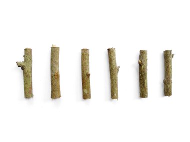 Dal, makro kuru dalları beyaz arka planda, kırpma yolu ile yalıtılmış huş ağacına koyun. Ağaç dalları beyaz arka planda izole edilmiş. Beyaz arkaplanda izole edilmiş odun yığını veya ağaç çubukları