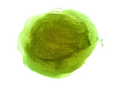 Yeşil ve sarı suluboya karalama dokusu. Bu bir el çizimi. Yeşil ve sarı soyut suluboya arkaplan