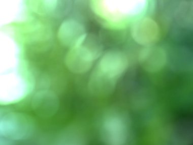 Pürüzsüz eğimli arkaplan. Taze ve güzel bir arka plan. Bokeh arkaplanı