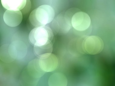 Pürüzsüz eğimli arkaplan. Taze ve güzel bir arka plan. Bokeh arkaplanı